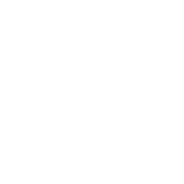 ico3 ico3