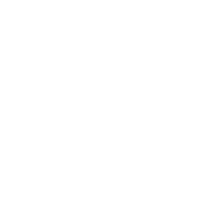 ico5 ico5