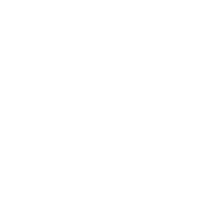 ico6 ico6